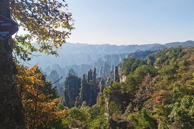 1 Day Avatar Mountain & Fores Park Group Tour with VIP Access - VIP Forest Park Entry: What the 6 Express Lanes Actually Buy You
