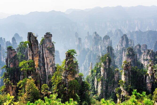 1 Day Avatar Mountain & Fores Park Group Tour with VIP Access - Getting Around With a Dedicated Guide + Driver (No Dual Roles)