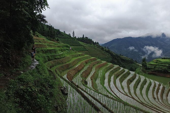 1-Day Longji Terrace Fields-Pingan village Tour with the English Speaking Driver - Private Pickup and the Long Drive You Actually Need