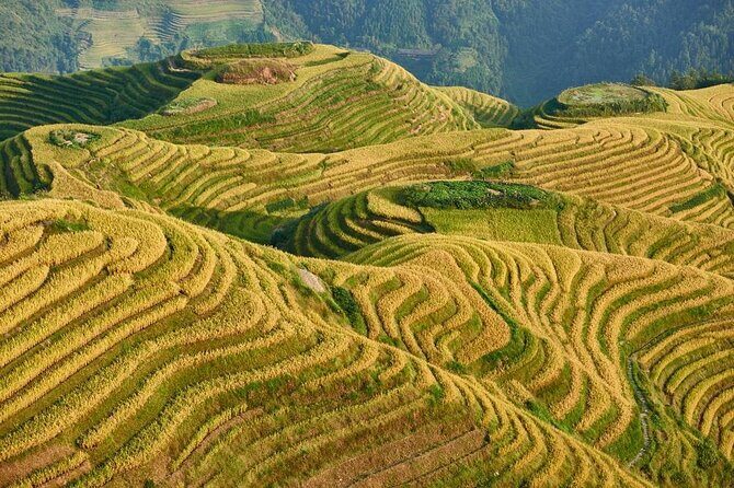 1-Day Longsheng Rice Terrace Tour from Guilin with Private Guide & Driver - Key points to know before you go