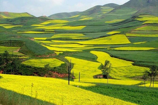 1-Day Longsheng Rice Terrace Tour from Guilin with Private Guide & Driver - The Right Pace: Shoes, Steps, and a Moderate Fitness Level
