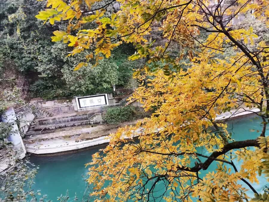 1-Day Mount Qingcheng and Dujiangyan Irrigation System Tour - Back Mountain: Scenery Time, Cave Stops, and Seasonal Mood