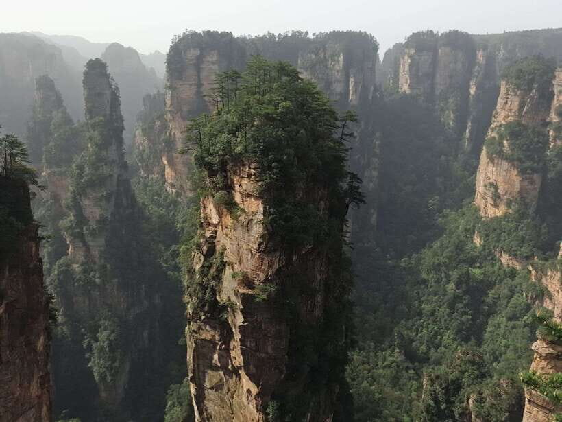 1-Day Private Tour to Zhangjiajie Highlights - Zhangjiajie National Forest Park walking time: 4.5 hours that matters