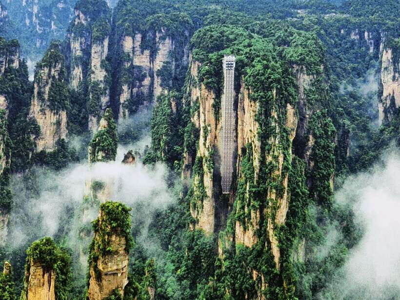1-Day Private Tour to Zhangjiajie Highlights - Wildlife and plants: why the guide is more than a translator