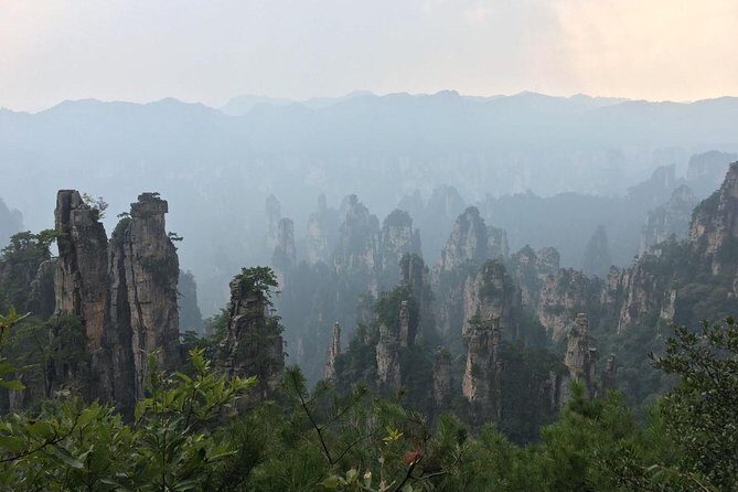 1-Day Private Tour to ZJJ National Forest Park & Avatar Mountain - The full route: Golden Whip Brook, Bailong Elevator, Yuanjiajie, Tianzi Mountain