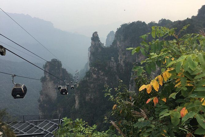 1-Day Private Tour to ZJJ National Forest Park & Avatar Mountain - Why the English guide matters more than you think