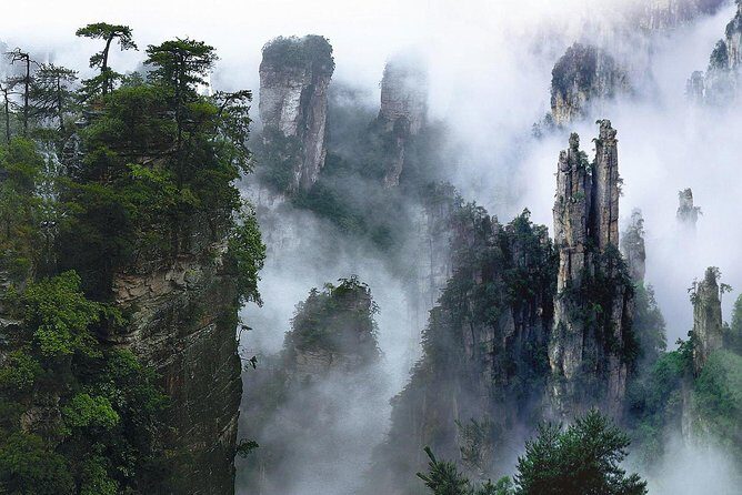 1-Day Private Tour to ZJJ National Forest Park & Avatar Mountain - Price and what you’ll pay on top of the $95