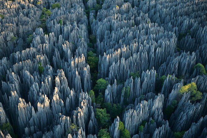 1 Day Stone Forest & Jiuxiang Cave Tour - Quick hits before you go