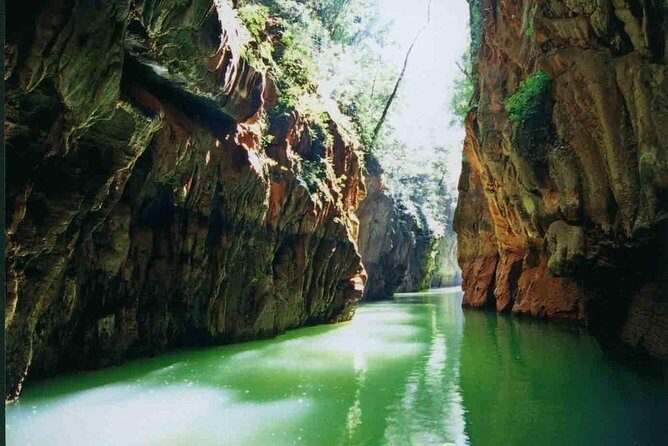 1 Day Stone Forest & Jiuxiang Cave Tour - Two UNESCO wonders, one 9:00 AM start