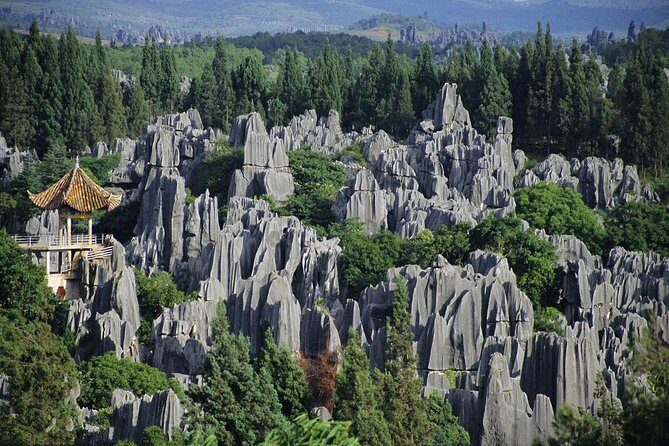 1 Day Stone Forest & Jiuxiang Cave Tour - Lunch and timing: a calmer day inside a packed schedule