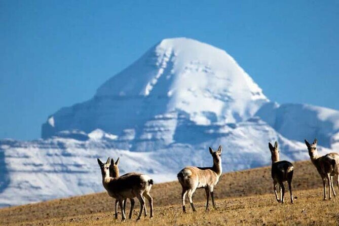 13 Day Lhasa, Mt. Everest, Mt. Kailash to Kathmandu Adventure - Saga Valley and Manasarovar: The Western Tibet Scale Hits Hard