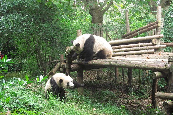 16-Day Private China Essence Tour with Yangtze River Cruise - Private, scheduled, and actually guided: what you’re paying for