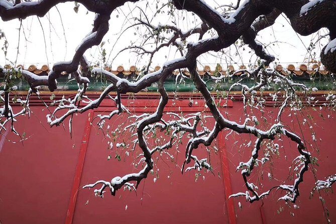 2-Day Beijing Sightseeing Highlights Combo Package with Lunch - Day 1: Tiananmen Square and the Forbidden City, tickets ready in advance