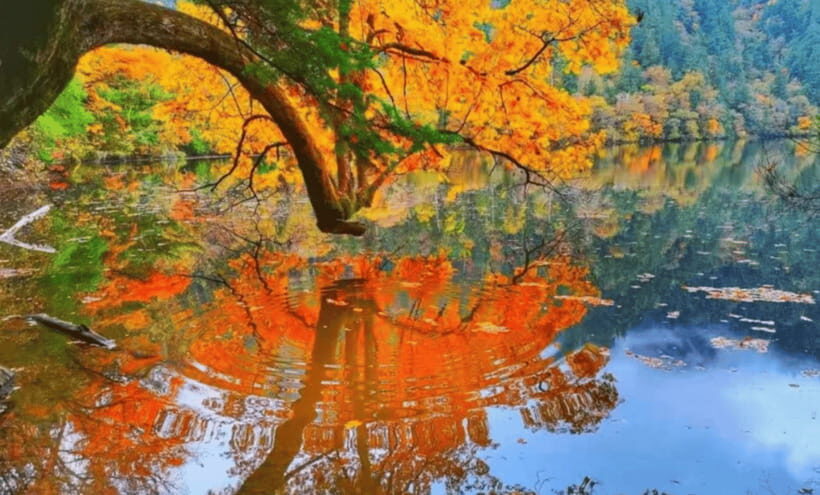 2 Day Chengdu to Jiuzhaigou&Huanglong Self-Guided w/Transfer - The communication factor: when it goes smooth vs when it gets messy