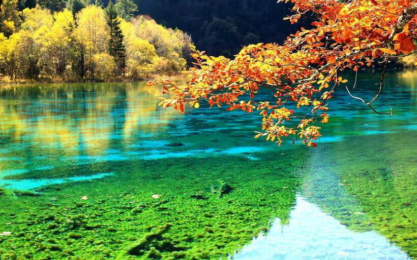 2 Day Chengdu to Jiuzhaigou&Huanglong Self-Guided w/Transfer - Private transfers: the part that saves your sanity