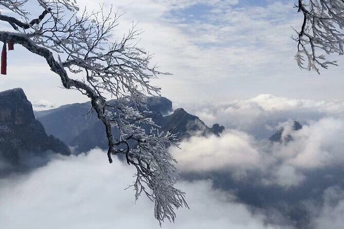 2-Day Private Combo Tour: Avatar Mountain & Tianmen Mountain - Tianzi Mountain and Helong Park: Close-Up Peak Views