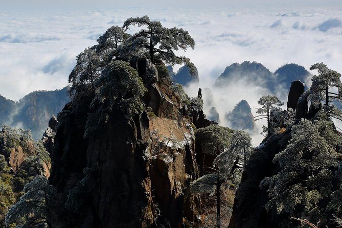 2-Day Private Trip to Huangshan and Hongcun from Shanghai with Accommodation - Day 1: Shanghai Hongqiao to Huangshan peaks, minus the guesswork