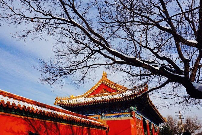 2 Days Beijing Group Tour Including Great Wall And Forbidden city - Chinese medicine center and the tea stop: culture beyond the postcards