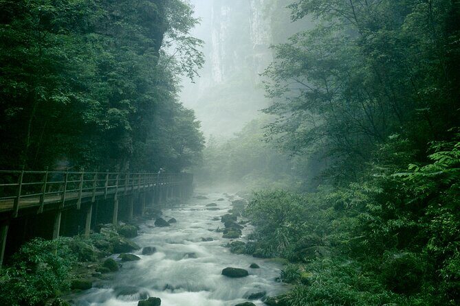 2 Full Days Zhangjiajie National Forest Park & Glass Bridge Tour - Junsheng Painting Institute: a creative pause that actually refreshes you
