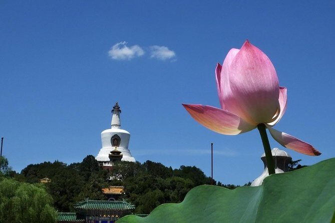 2-Hour Beijing Private Jingshan Coal Hill Park and Beihai Park Walking Tour - Hotel pickup and the “get your bearings” start