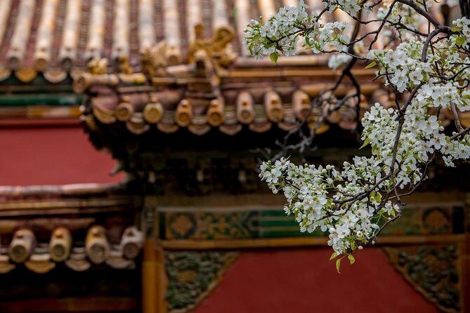 3-Day Private Beijing Tour with Forbidden City, Great Wall, Hutong and Lunch - Temple of Heaven, Panjiayuan antiques, and Summer Palace with dragon boat time