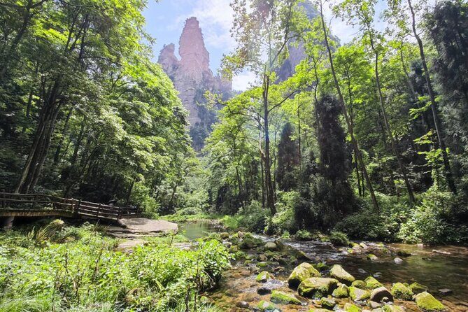 3-Day "Secrets Of Zhangjiajie" Deep Photography Tour - Day 1 in the UNESCO Pillar Forest: Zhangjiajie National Forest Park
