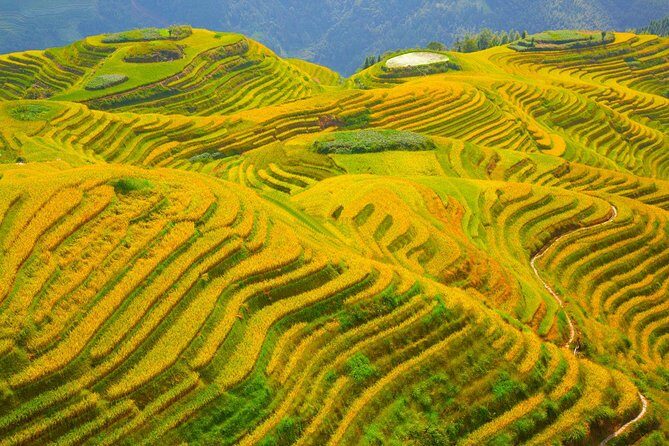 3 Days Classic Guilin Tour with 3 star seats for Li River Cruise - Day 2: Longji Rice Terrace Scenic Spot and the long ride out