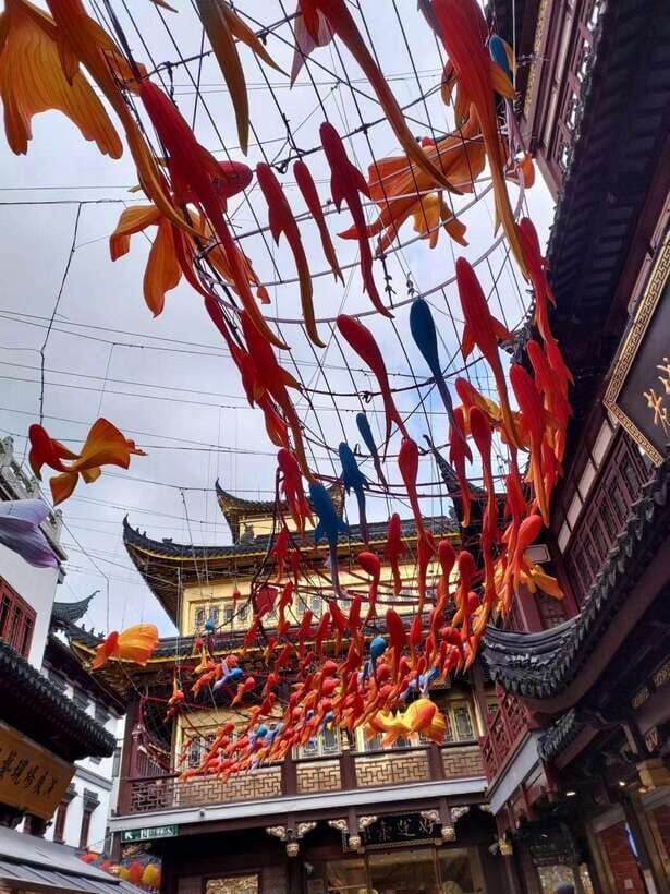 3-Hour Shanghai Street Food Tasting & Old Town Private Tour - Who this tour is best for