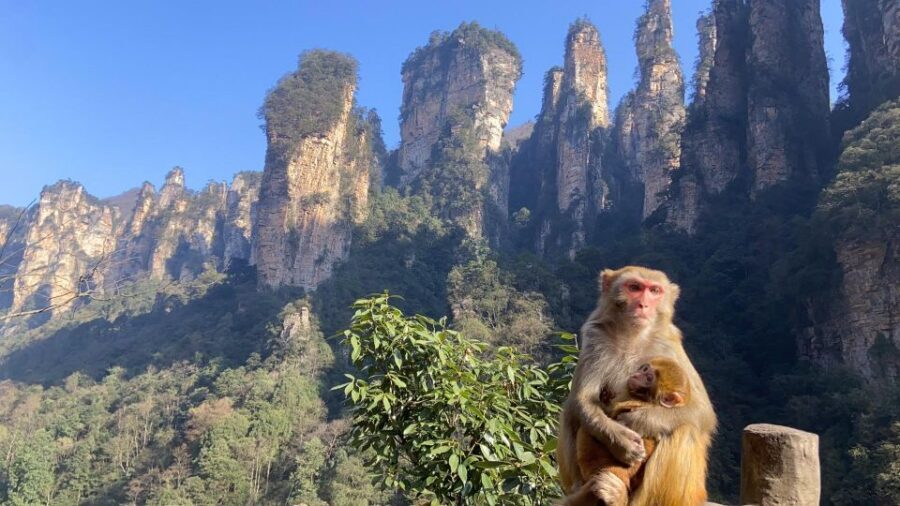 4-Day Highlights of Zhangjiajie With Sunrise Experience - Crowd control: how this itinerary keeps your time in the good parts