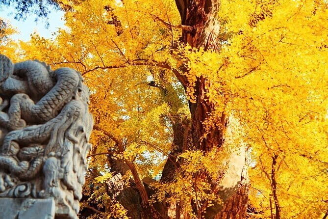 4-Days All Inclusive Beijing Private Tour Package with Airport Transfer Option - Day 3: Temple of Heaven, Pearl Market bargaining, Lama Temple, and Confucius College