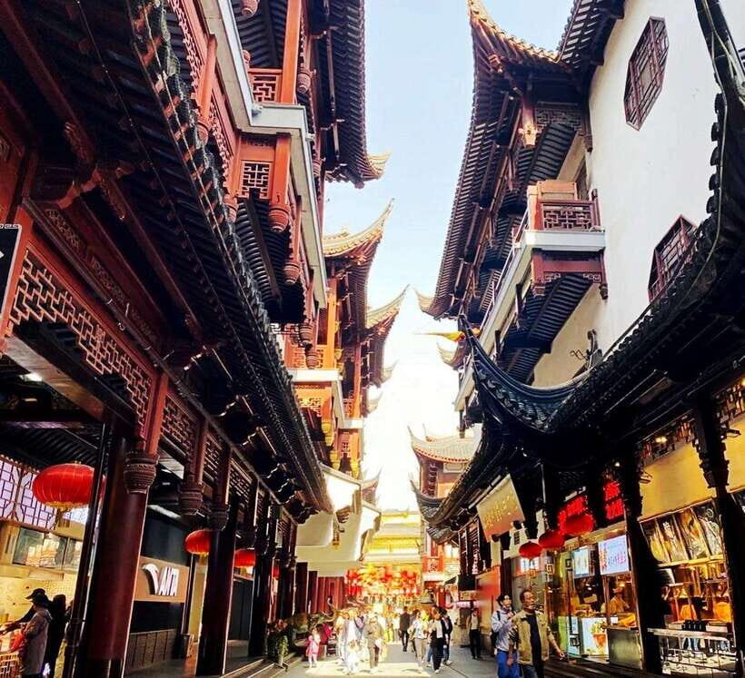 4-Hour Shanghai Best Garden and Temple Tour with Tea Tasting - Who should book this 4-hour Shanghai combo