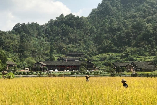 5-Day Private Zhangjiajie Ultimate Experience Tour - Price and Logistics: What You’re Really Paying For