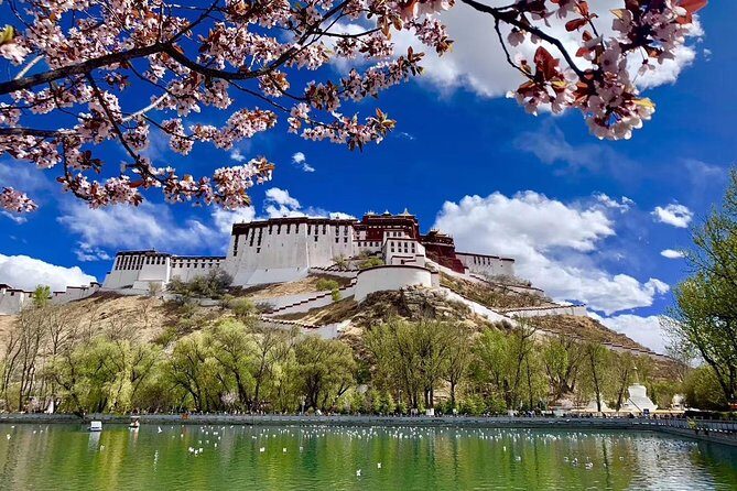 6 Days Central Tibet Culture Small Group Tour - Day 2: Potala Palace, Jokhang Temple, and Barkhor Street Kora