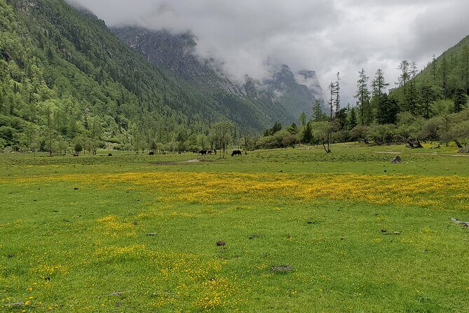 6 Days Mt.Siguniang Dafeng Erfeng Climbing - Day 6: Back to Chengdu and timing your flight