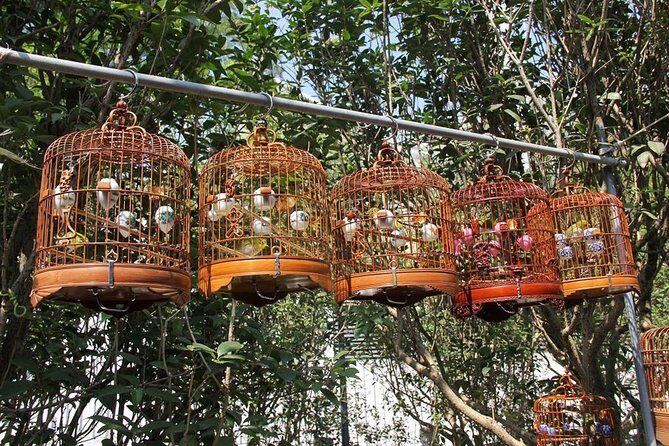 6-Hour Private Beijing Tour: Flower and Fish Market, Panjiayuan Antique Market and 798 Art Zone - A smart mix of Beijing shopping and art (without feeling like a checklist)