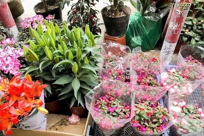 6-Hour Private Beijing Tour: Flower and Fish Market, Panjiayuan Antique Market and 798 Art Zone - Stop 1: Shilihe Culture flower, fish, and insect market