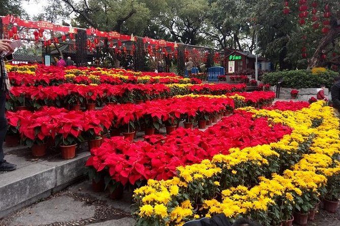 7-Hour Customised Private Guangzhou Sightseeing and Shopping Tour - Pickup, private cars, and how to keep the day from feeling rushed