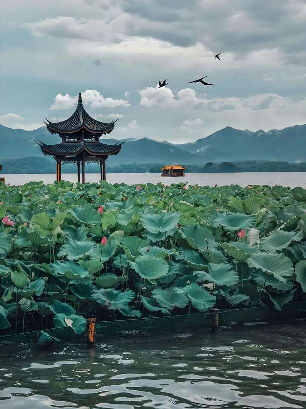 7 hours Hangzhou Tour Itinerary - A 7-hour Hangzhou plan that actually works in real time