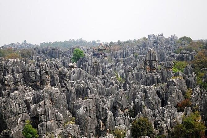 8 Days Classic Tour of Yunnan - Price and logistics that really affect your trip value ($2,015 per person)