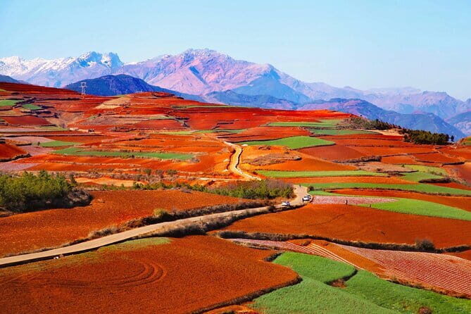 8 Days Classic Tour of Yunnan - Day 5: Jade Dragon Snow Mountain, Baisha murals, and Shuhe’s quieter vibe