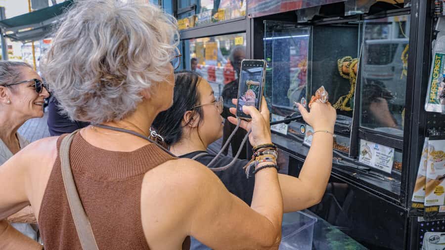 A Day in the life of a Hong Konger Tip Based Walking Tour - Goldfish Market: Feng Shui, Vertical Shops, and the Stories Behind the Stalls