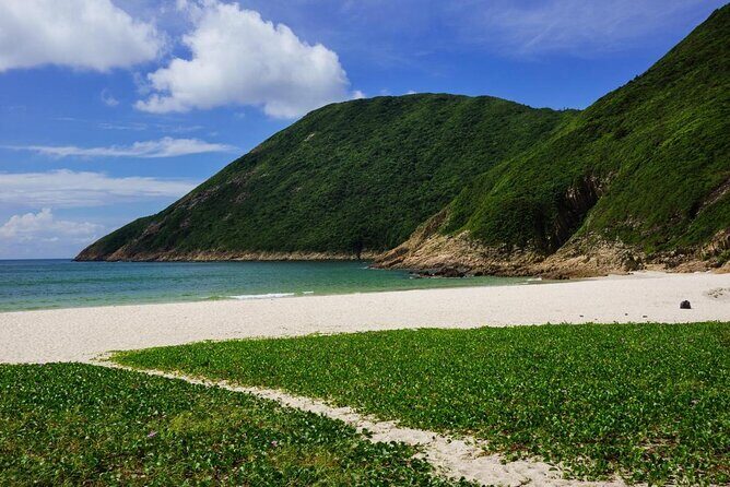 Afternoon Hiking Tour Sharp Island Geopark - Price and what you actually get for $39.36
