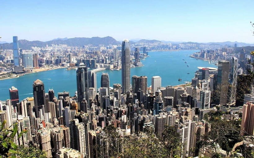 All Inclusive Hong Kong City Guided Tour with Lunch - Dim Sum Lunch: Cantonese Comfort Food With Real Momentum