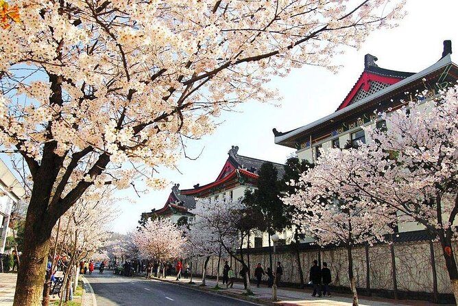 All Inclusive Nanjing City Private Day Tour with Tailor-Made Highlights - A day structured around Purple Mountain