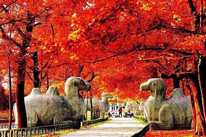 All Inclusive Nanjing City Private Day Tour with Tailor-Made Highlights - Xiaoling Tomb of the Ming Dynasty: walking history, big scale