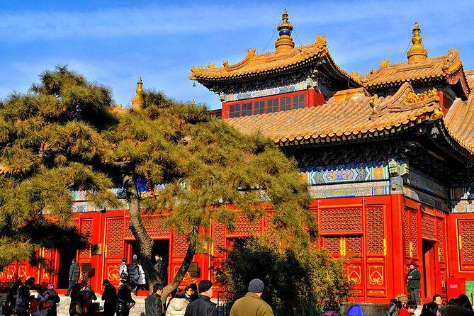 All-inclusive Private Day Trip: Hutongs, Lama Temple & Panda House with Lunch - Hutongs by Rickshaw: A Close-Up of Traditional Alley Life
