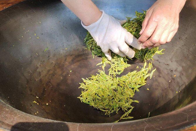 Authentic Hangzhou Longjing Tea Culture Experience Tour - Entering the Longjingshan tea scene without rushing
