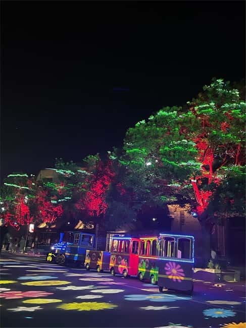 Badaling Great Wall Night Tour+ Light Show + Performance - Choosing the right option: bus vs. car, and the guide expectations