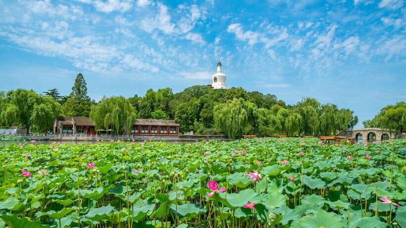 Beijing: Beihai Park Entry Ticket & English PDF Guidebook - White Dagoba on Jade Island: the landmark that anchors your photos