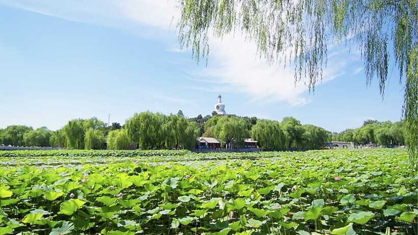 Beijing: Beihai Park Full Access Ticket - Must-See in China - The 4-Hour Timing That Actually Works
